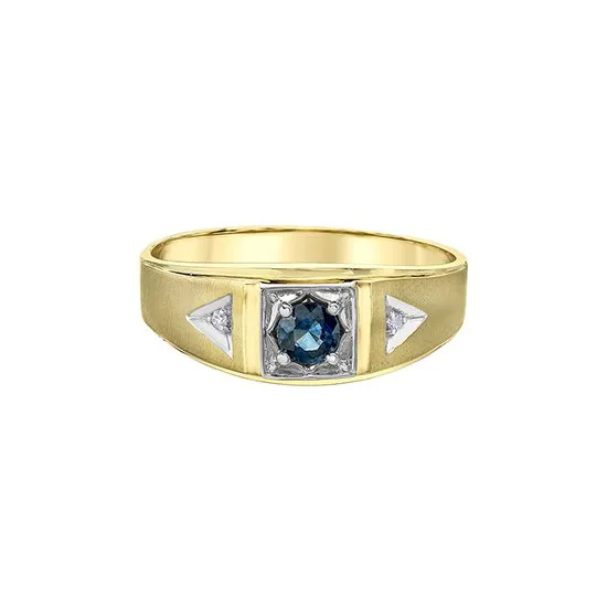 10K Yellow Gold Sapphire and Diamond Ring