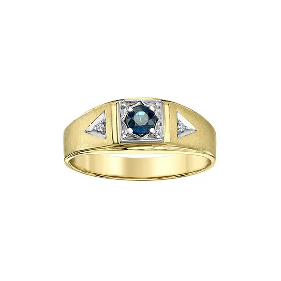 10K Yellow Gold Sapphire and Diamond Ring