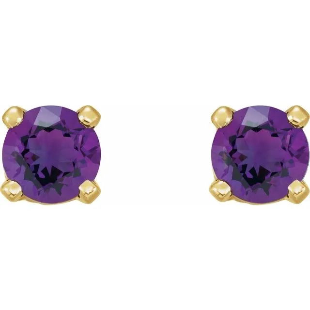 14K Yellow Gold Natural Amethyst Earrings