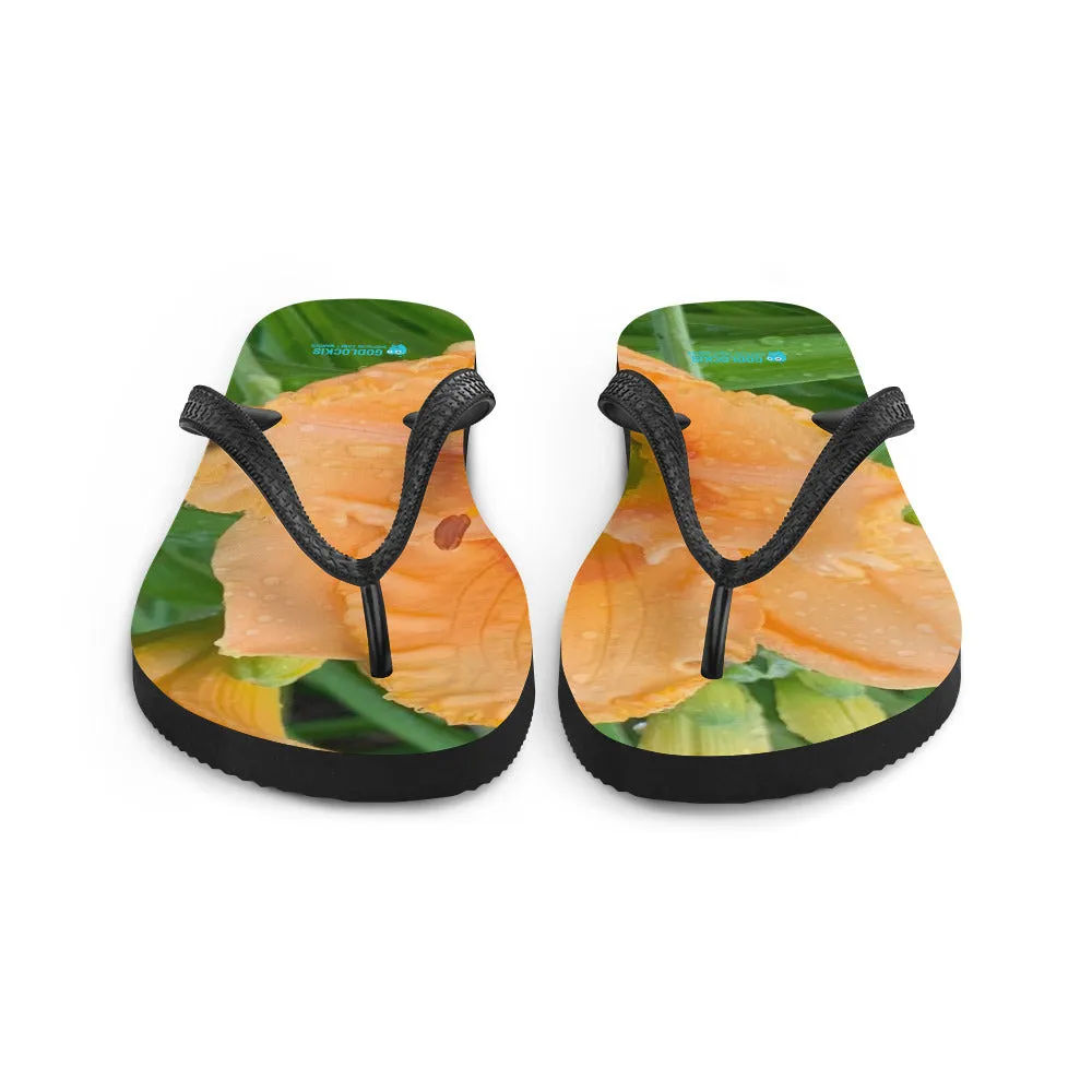 Flip-Flops