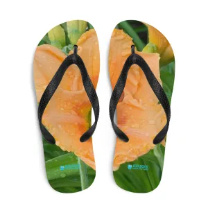 Flip-Flops