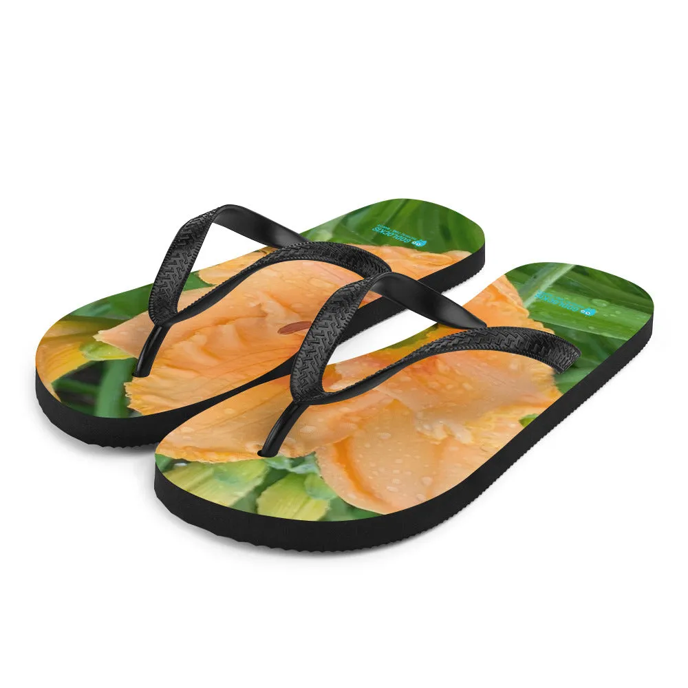 Flip-Flops
