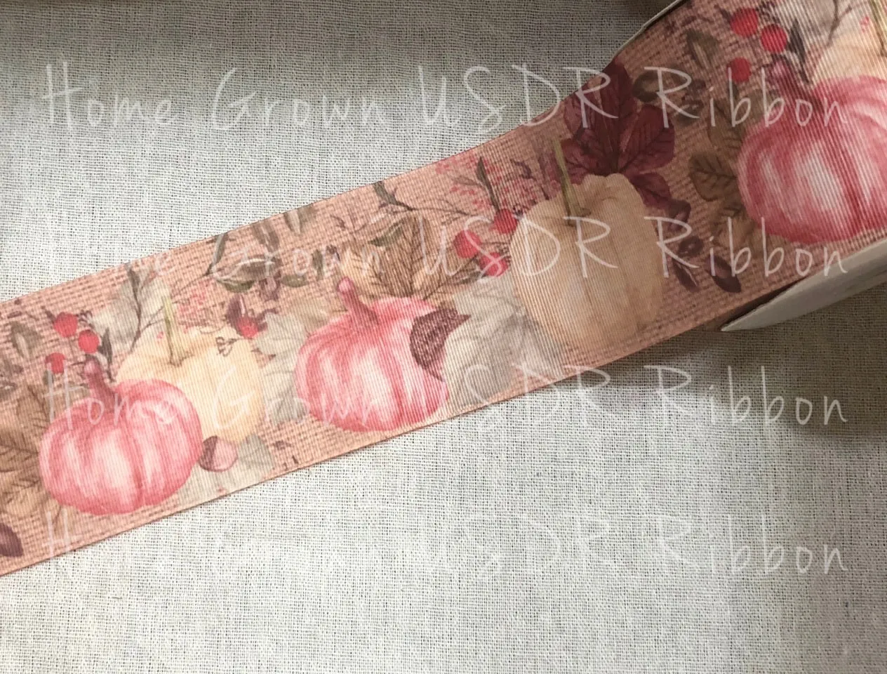Pastel Pumpkins Burlap Double Sided USDR Ribbon - 3 Inch