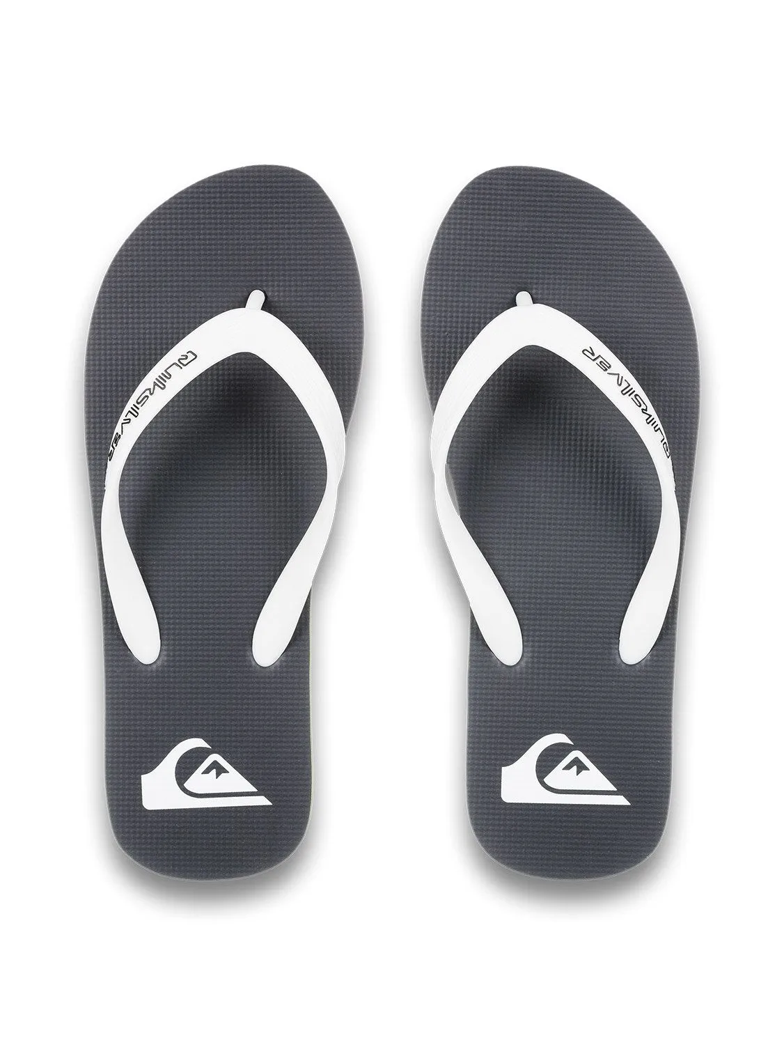 Quiksilver Men's Molokai Core Flip Flop