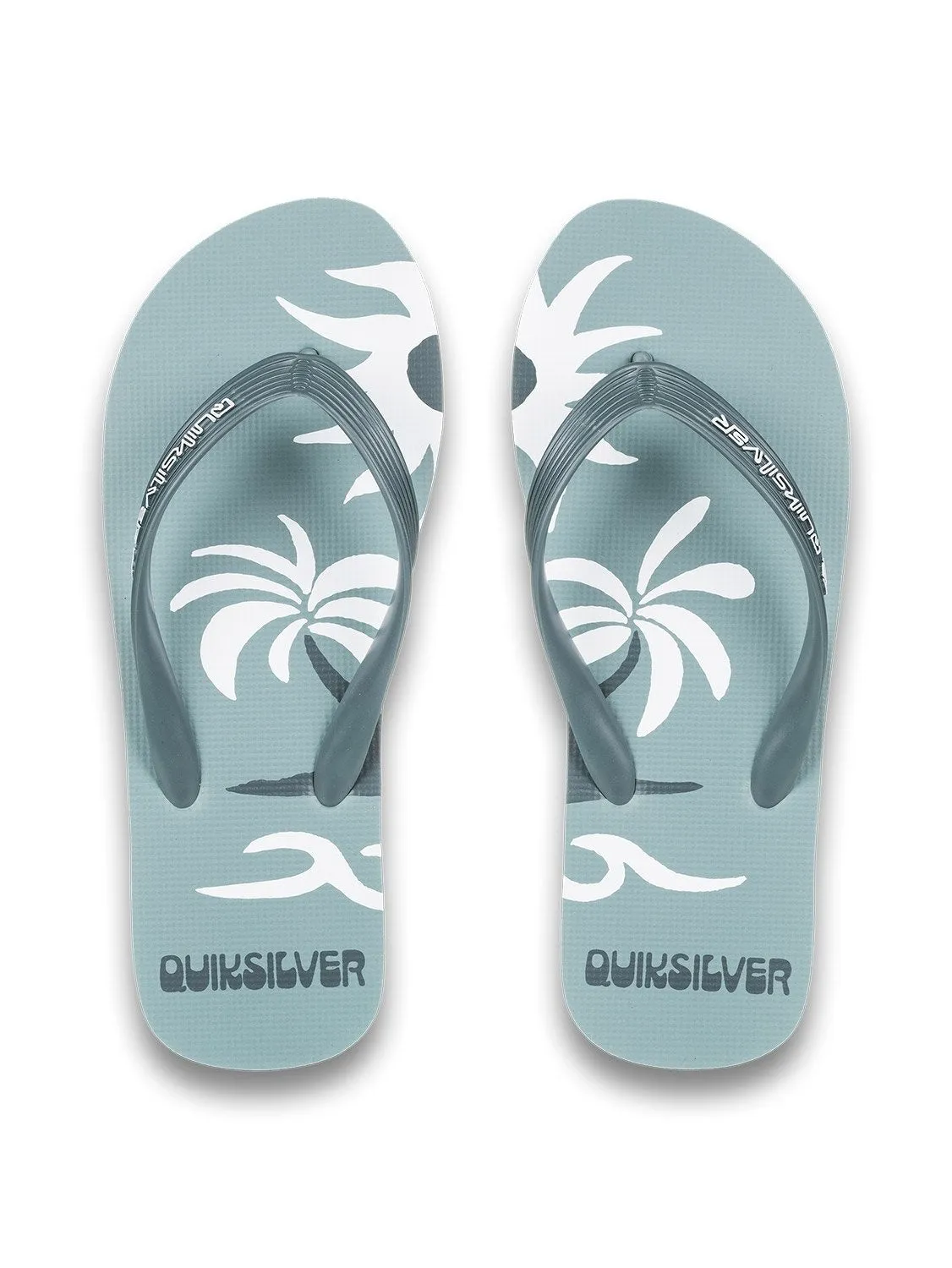 Quiksilver Men's Molokai Screen Flip Flop