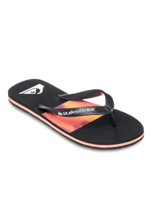 Quiksilver Men's Molokai Stripe Flip Flop